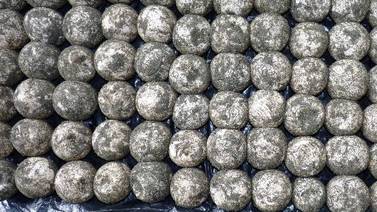 Policía decomisa  cargamento  de 600 huevos de tortuga