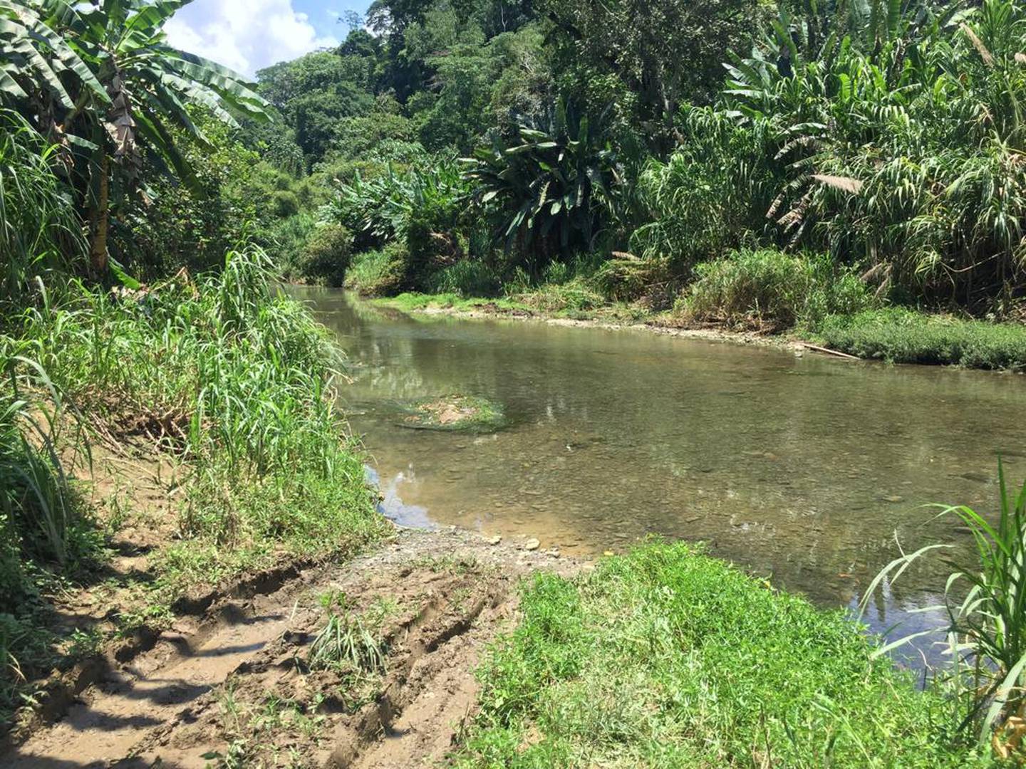 En la ribera del río Blanco, en Limón, fue localizado el cadáver de un hombre de 45 años.