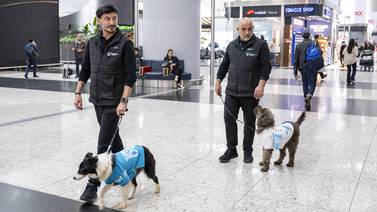 Perros de Terapia en Aeropuerto de Estambul buscan reducir estrés de viajeros