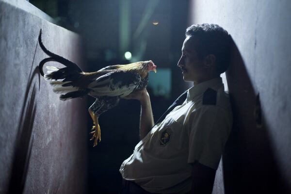 Película tica 'Por las plumas' competirá en el Festival de Cine de ...
