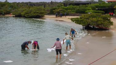 Combustible de barco hundido en Galápagos no deja una ‘afectación importante’, dicen autoridades