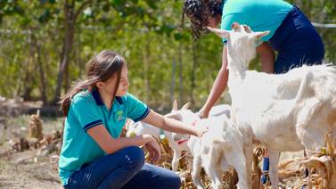 Estudiantes de Santa Cruz se deciden por la crianza de cabras en busca del éxito empresarial