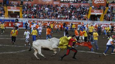 El toro 2.000 de las corridas a la tica saltará este domingo al redondel de Zapote 