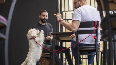 Comercios abren sus puertas a las mascotas y se ganan la fidelidad de los dueños 