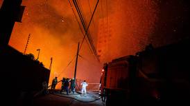 ‘Está todo quemado’: el trágico saldo que deja incendio en Chile