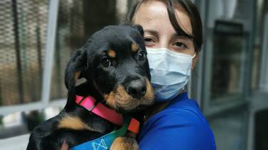 Asistente de veterinaria fallecida en accidente de ascensor usaba sus ahorros para ayudar animales