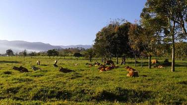 Productores apuestan por una ganadería baja en emisiones
