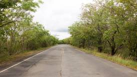 Siembra de árboles favorecerá el paso de fauna entre los parques nacionales Santa Rosa y Guanacaste