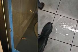 Baños inundados y microondas con cucarachas: así trabaja la Policía de Tránsito de San José