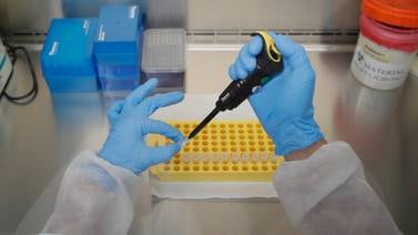 Capacidad de detección de virus causante de covid-19 aumentará con nuevos laboratorios en varios hospitales