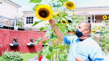 Jardinero alivia con flores y colores pesada carga para enfermos de covid-19 y personal del San Juan de Dios