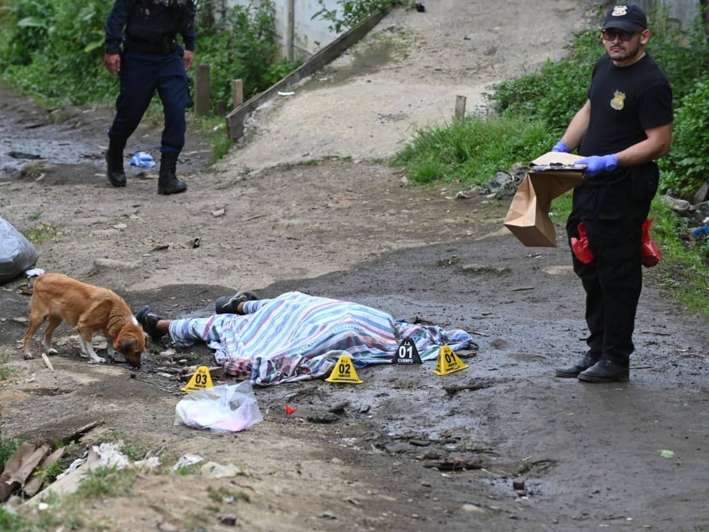 Una venganza por líos entre bandas dedicadas al narcotráfico generó el primer asesinato cuádruple de este 2024 en Goicoechea. Foto: Albert Marín.