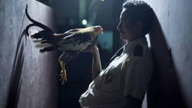 Película costarricense 'Por las plumas' gana premio al mejor guion en Festival de Santander