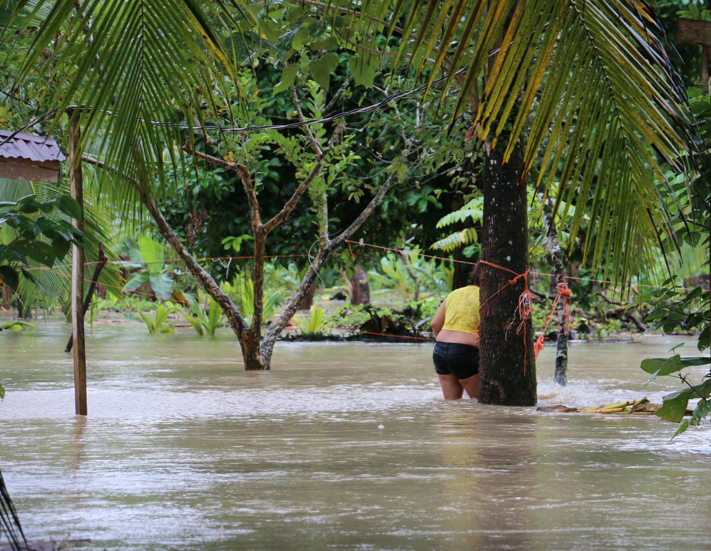 En Goshen de Matina y poblados cercanos el agua subió más de medio metro este jueves. Foto: Reiner Montero.