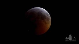 Posible cometa impactó la Luna durante el eclipse del domingo y quedó grabado en video