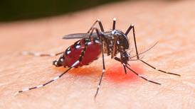 Dengue acumuló 2.679 casos en primeras cuatro semanas del año en Costa Rica