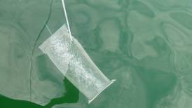 Microplásticos en ríos, lagos y océanos son guarida perfecta de bacterias resistentes a antibióticos