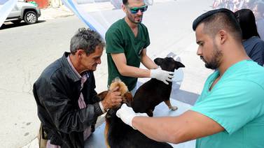 Perros y gatos recibieron atención veterinaria en la zona roja