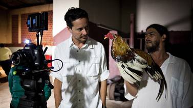  Un gallo llamado Pollo,  ese canta en  el filme nacional ‘Por las plumas’