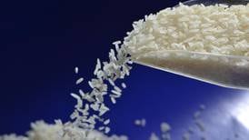  MEIC rechaza aumento temporal de impuesto a arroz importado