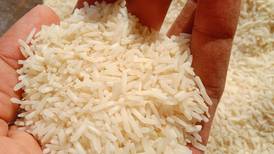 Editorial: Precio mínimo  del arroz