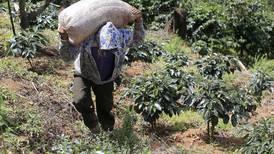 Gobierno crea decreto para regularizar situación de trabajadores agrícolas migrantes en Costa Rica