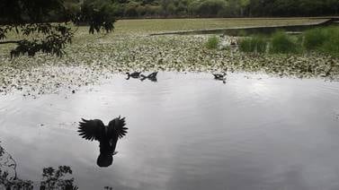 Parque Laguna Doña Ana abre de nuevo para recibir hasta 150 visitantes 