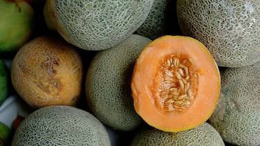 Empresa que envió melones a Alemania con alto nivel de pesticida será investigada por autoridad fitosanitaria de Costa Rica
