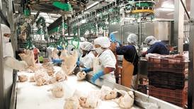  Avícola del país se alista para  exportar a Colombia