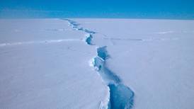 Un iceberg 10 veces más grande que Isla de Pascua se desprendió de la Antártica