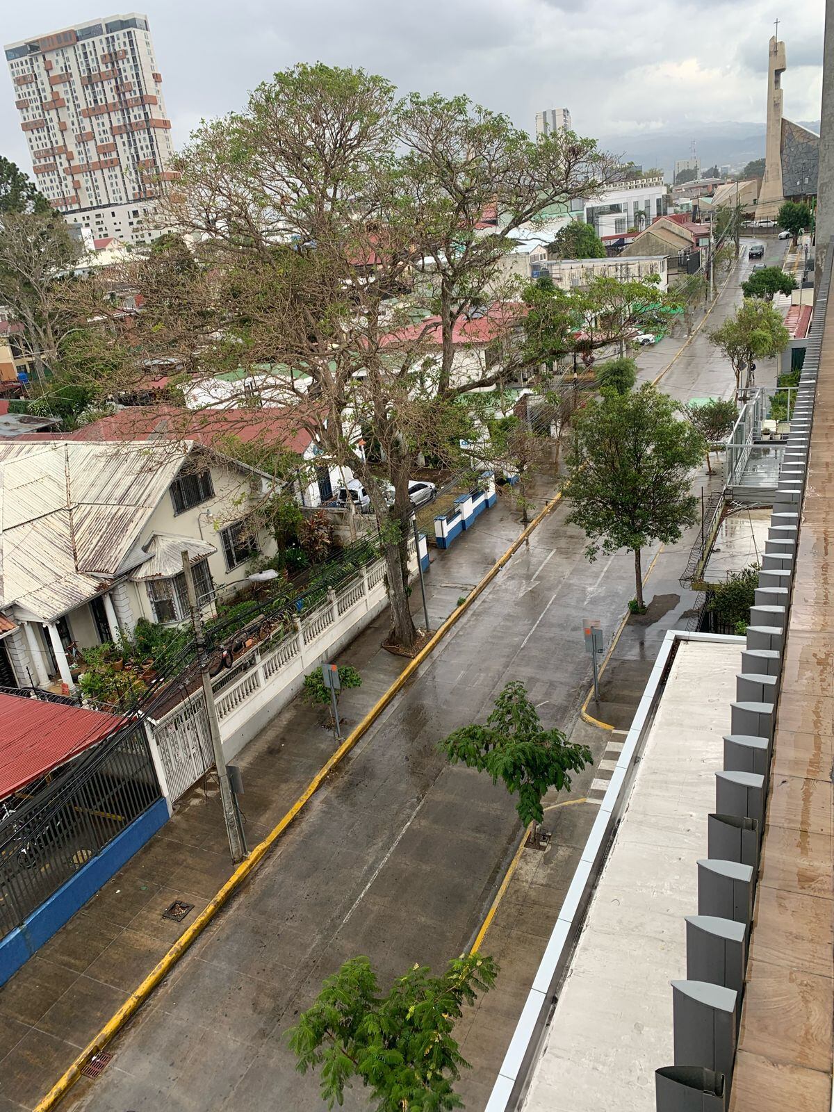 En barrio González Lahmann de San José, las lluvias mojaron arbustos y carreteras este 24 de abril. Foto: Cortesía: María José Solano.