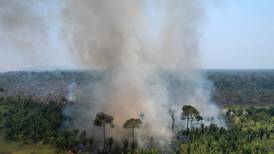 La Amazonia arde en la nueva ‘frontera de la deforestación’