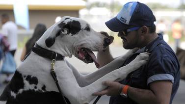 Destreza y simpatía caninas deslumbraron en el Viva Pets