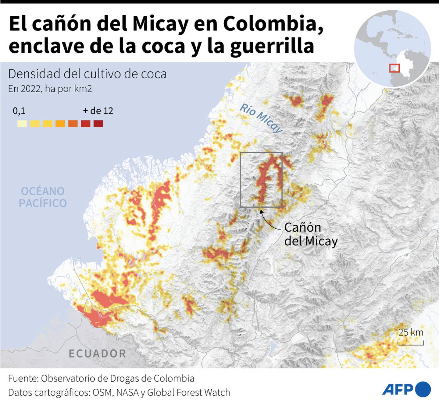 Las Fuerzas Armadas colombianas siempre tienen dificultades para accerder a esta zona de la selva