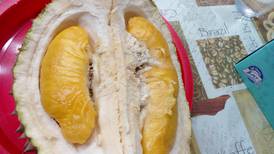 Durian, la nueva fruta prohibida 