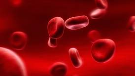 Científicos de EE. UU. encuentran forma de regenerar vasos sanguíneos