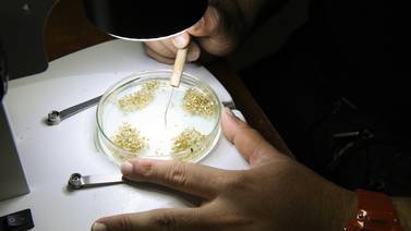 Biólogos generan ‘semillas’ en laboratorio