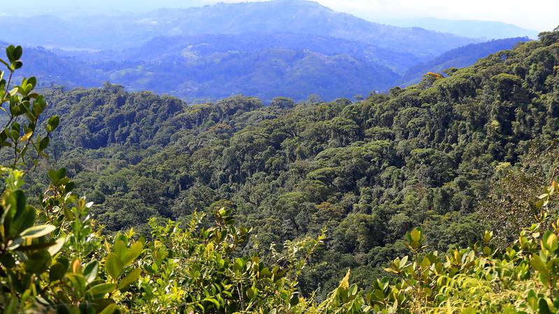 Costa Rica incumple reducción de emisiones pactada en Acuerdo de París