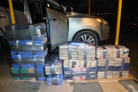 Golpe al narco en zona sur: 250 kilos de cocaína decomisados a joven conductor