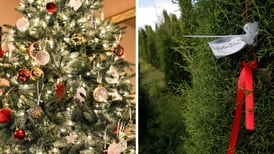 ¿Qué es más ecológico en Navidad: reutilizar árboles artificiales o comprar naturales?