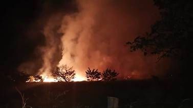 Desconocidos vuelven a incendiar área protegida con árboles para hacer marimbas en Santa Cruz
