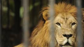Parque Bolívar seguirá como zoológico por  10 años más