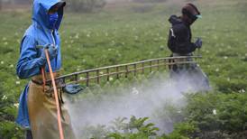 Cambios de UE sobre límites de residuos de plaguicidas amenazan exportaciones de Costa Rica