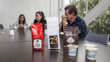 Zona de Los Santos cosecha el 25% del café nacional