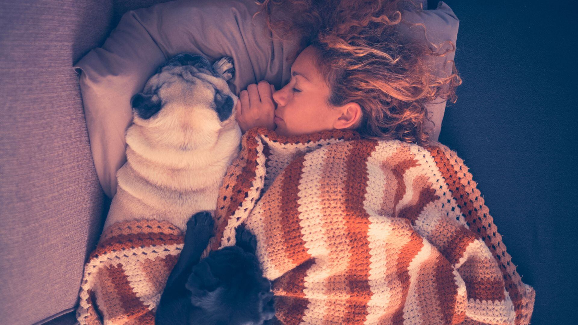 Se observan muchos casos de mascotas que se acostumbraron a dormir en la cama de sus dueños, lo que puede llevar a comportamientos agresivos cuando se intenta moverlas. 