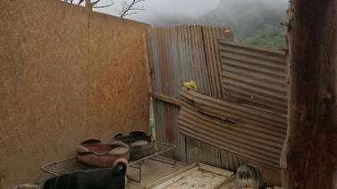 Vientos destechan refugio y tienen pasando frío a 280 perros viejitos en Tarbaca