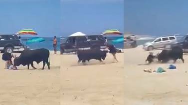 Toro embiste a una mujer en playa de Baja California