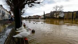Más de 200.000 patos sacrificados en Francia por brote de gripe aviar