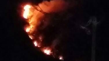 Bomberos declaran controlado el fuego en el cerro Tapezco de Escazú