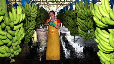 Costa Rica inicia diálogo con UE para venderle más bienes agrícolas libres de deforestación